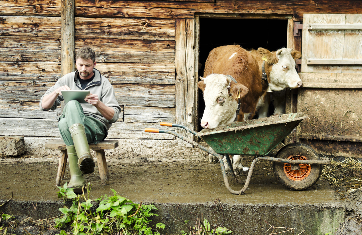 A modern Swiss farmer is working with a touch screen tablet device in front of his barn